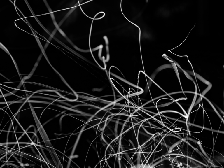 Fifty Years of Chaos